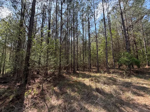 Cold Ridge Rd, Midway, AL 36053