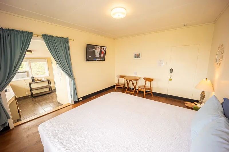 1 bed, 2000 sqft, $2,300 — Photo 2