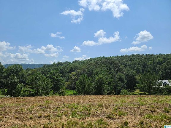 4th image of 0 Turkey Hollow Ln #1