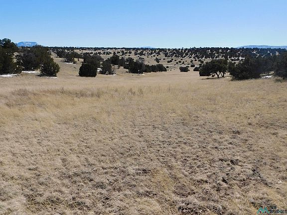 5th image of 69 Bronco Blvd