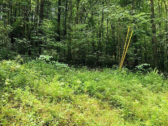 4th image of 1 Park Dr Lot 290