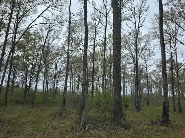 436ACRE S Highway 82, Eufaula, AL 36027