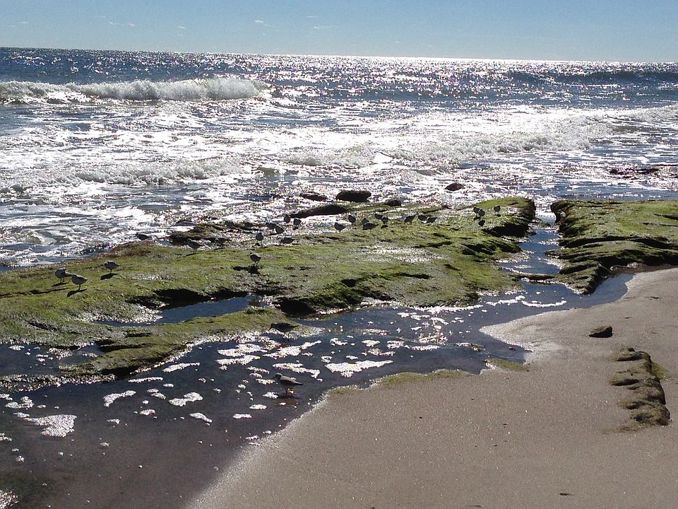 2nd image of 2124 Surfrider Ct