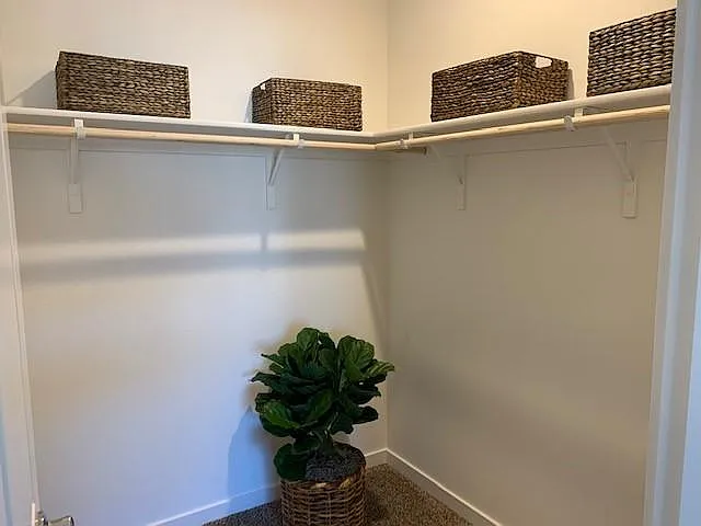 Oliva — Photo 20
