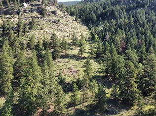 0 Stagecoach Blvd #17, Evergreen, CO 80439