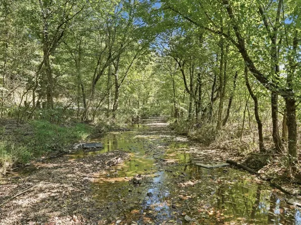 0 Opossum Paw Rd Lot 5, Beechgrove, TN 37018