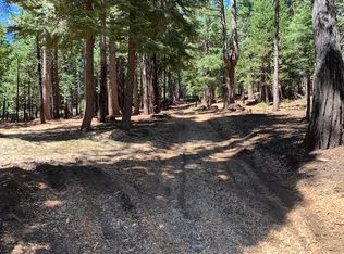 129 Beatrice Dr, Camp Connell, CA