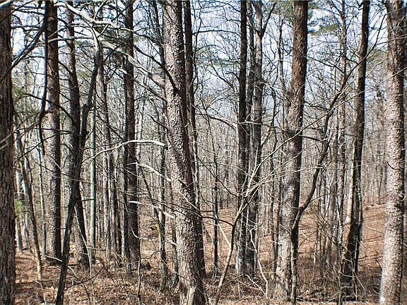 5th image of 157 State Highway 171