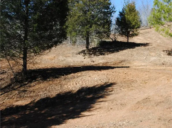 Rockhouse Rd, Linden, TN 37096