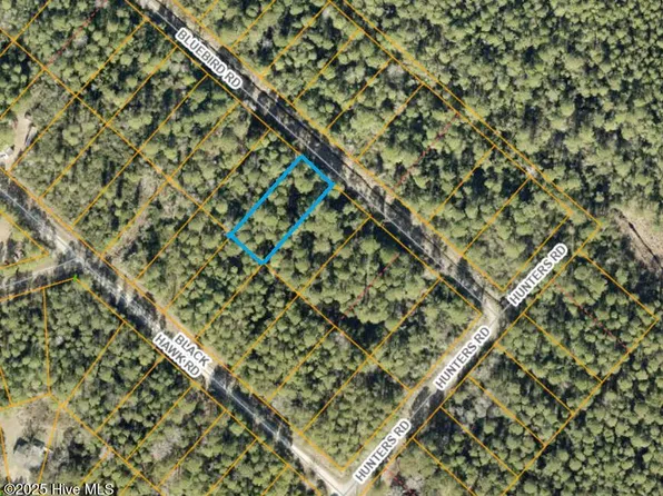 LOT 49 Bluebird Rd, Boiling Spring Lakes, NC 28461