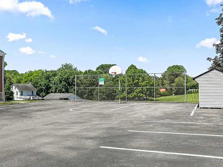 Half Court Basketball
