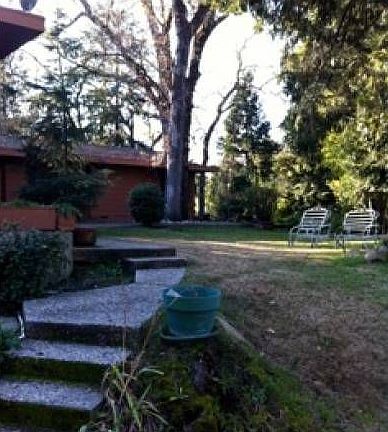 Back Yard Area