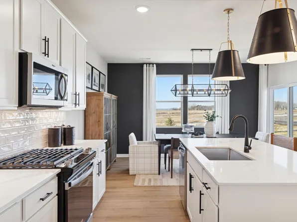 15026 Askeaton Pl, Rosemount, MN 55068