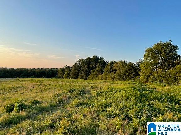 4th image of 0 Jones Chapel Loop #1