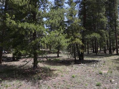 1806 Gold Dr E, Leadville, CO, 80461