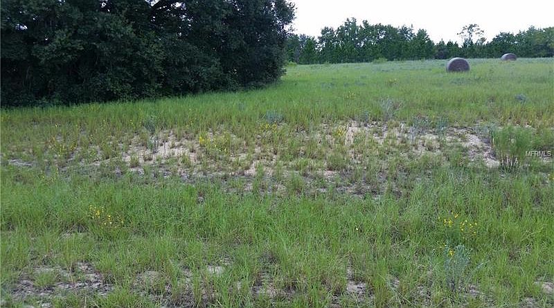 1st image of 13629 Citrus Farms Dr