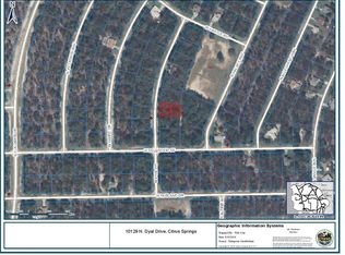 10129 N Dyal Dr, Citrus Springs, FL 34434