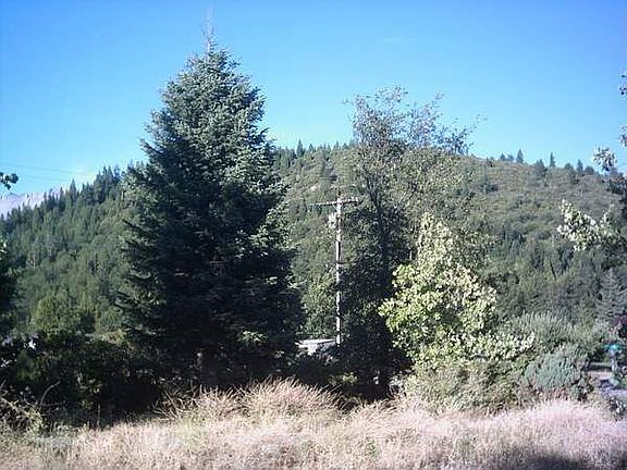 2nd image of 1909 Pine Grove Dr
