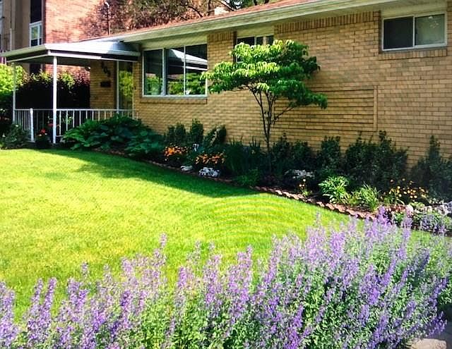 2nd image of 809 Lindenwood Dr