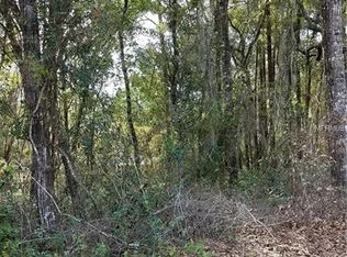 309 E Harvard St, Inverness, FL 34452