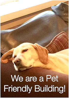 Rented by REGII | media 27