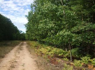 Pineway Path, Indian River, MI 49749