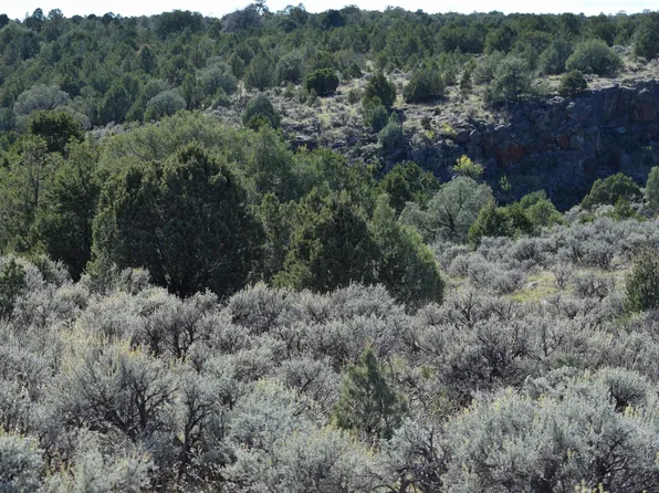  Matisse Road, Carson, NM 87517-000