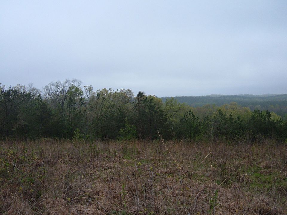 2nd image of County Line