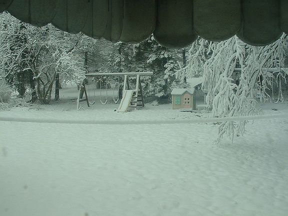 View to the backyard