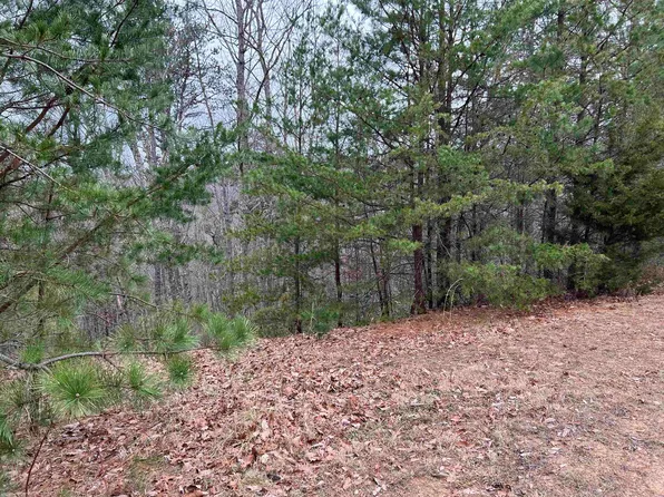 3931 Buck Mountain Rdg, Blacksburg, VA 24060