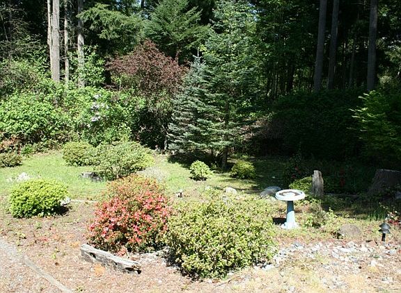 5th image of 393 Lorna Ln