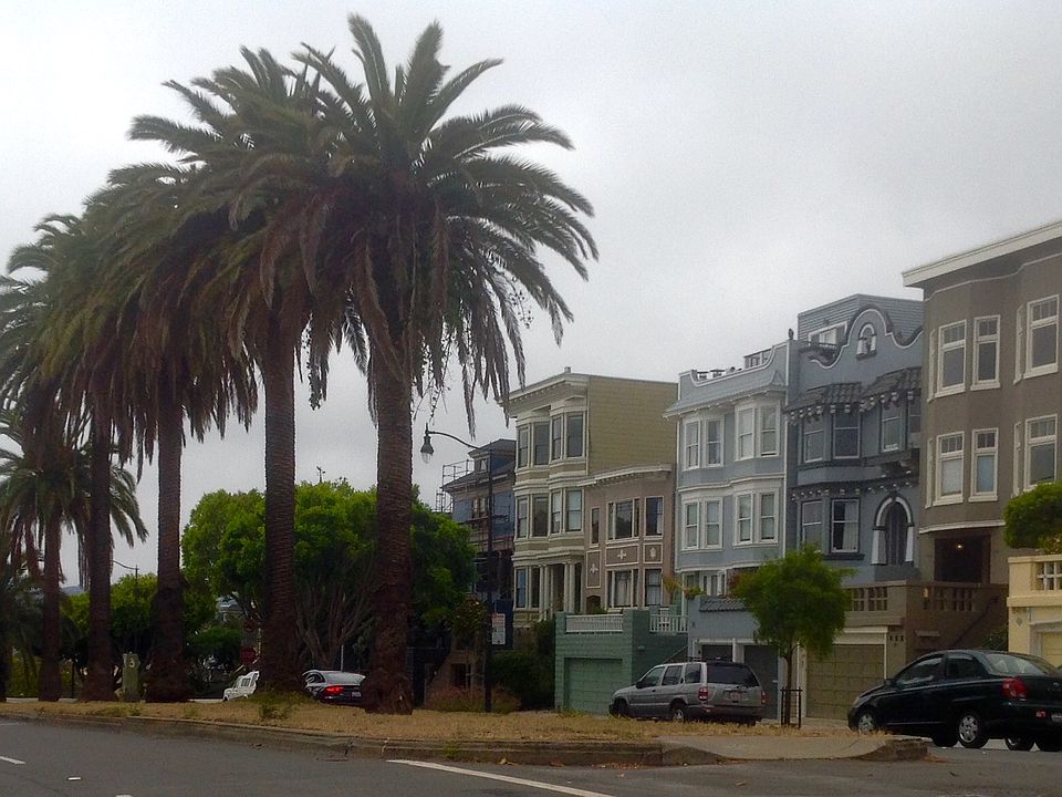 Building at top of Dolores Street