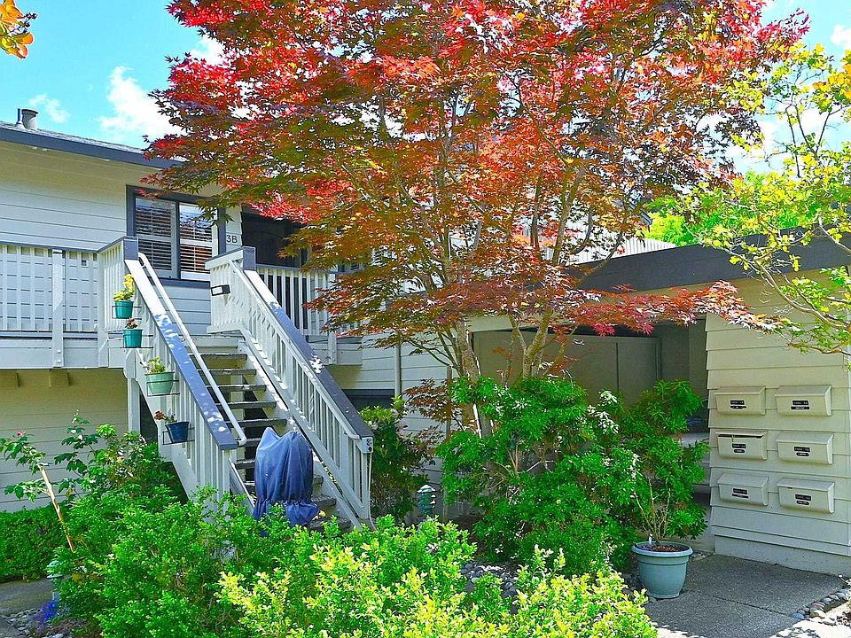 1st image of 1404 Stanley Dollar Dr APT 3B