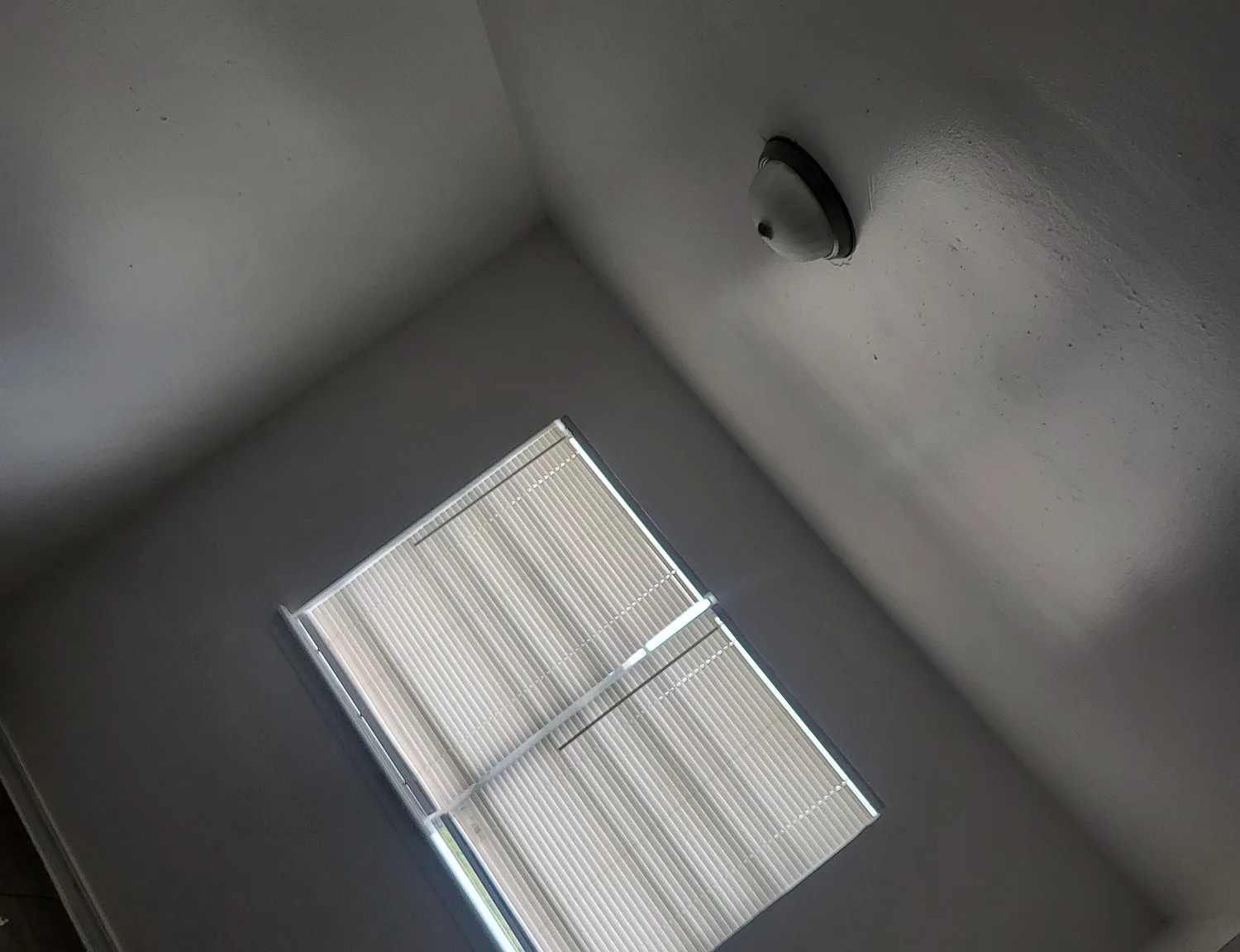 2 bed, 1200 sqft, $850 — Photo 4