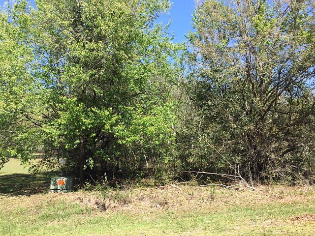 1st image of  NW 173rd St