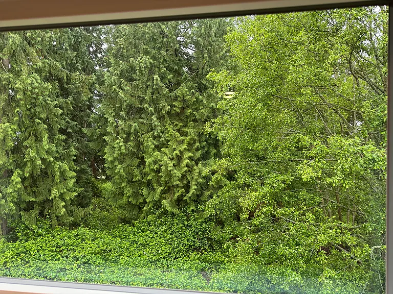 View at the window at the top of stairwell.