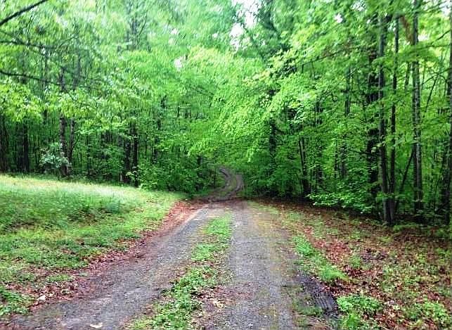 2nd image of 1587 Old Apple Grove Rd
