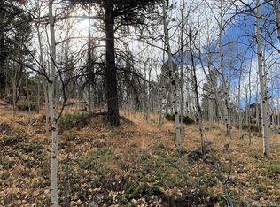 59 & 47 Lanier St, Bailey, CO 80421