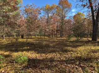 PARCEL 11 E County Line Rd, Free Soil, MI 49411