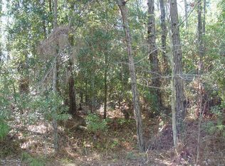 105 Juniper Rd, Georgetown, FL 32139