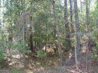 105 Juniper Rd, Georgetown, FL, 32139