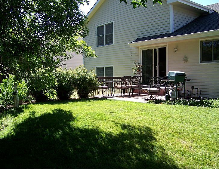 Backyard & patio