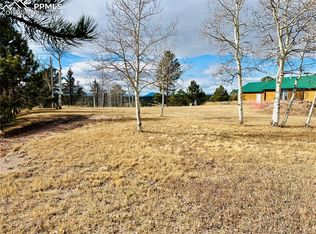 799 Elfin Glen Dr, Divide, CO 80814