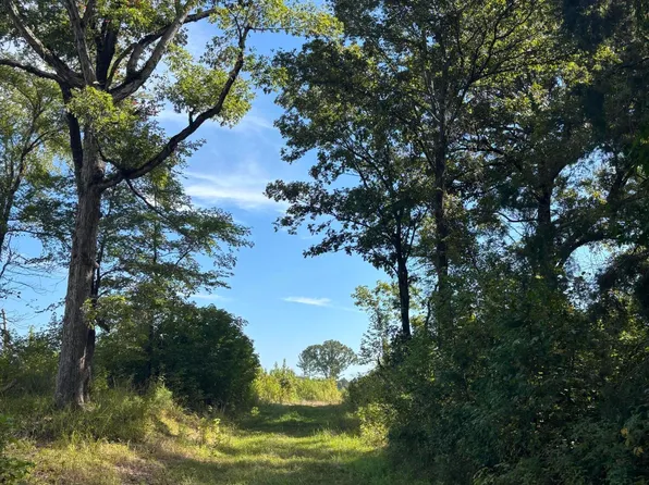 Ebenezer Coxburg Rd, Lexington, MS 39095