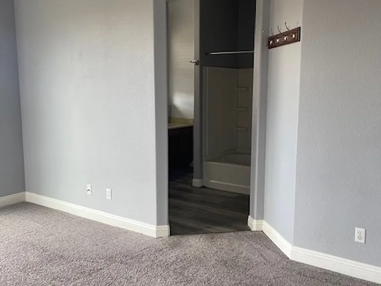 557 Dry Creek Trl — Photo 9