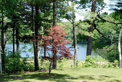 View from front porch