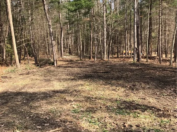 Maple Dr Lot 38, Milford, NY 13807