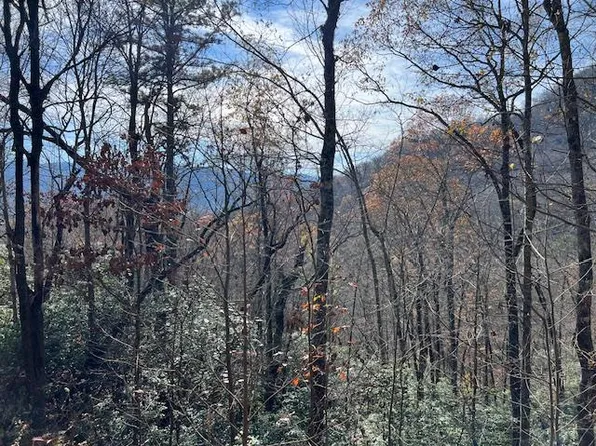 LOT 19 The Rdgs, Hiawassee, GA 30546
