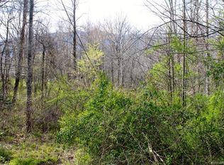 999 Campbell St #PT8, Black Mountain, NC 28711