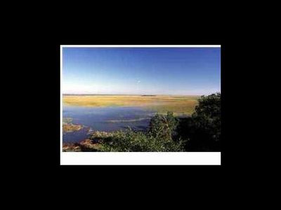 275 Pelican Flight Dr, Dewees Island, SC, 29451